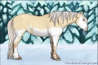Horse Color:Silver Classic Champagne Dun Splash Frame 