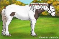 Horse Color:Liver Chestnut Splash Tobiano Rabicano