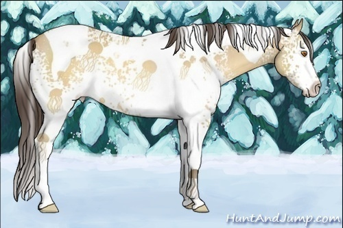 Horse Color:White Spotted Sable Cream Champagne Tobiano 