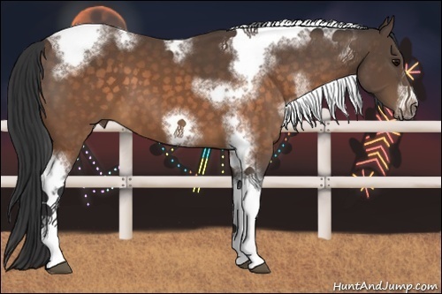 Horse Color:White Spotted Buckskin Splash Tobiano Frame 