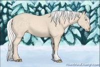 Horse Color:Silver Perlino
