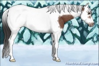 Horse Color:Bay Splash Tobiano Frame Blanket