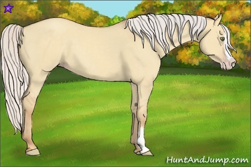 Horse Color:Silver Classic Champagne Dun Splash Frame 
