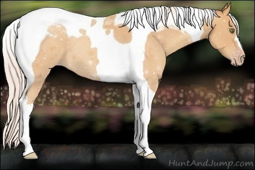 Horse Color:Silver Amber Champagne Tobiano 