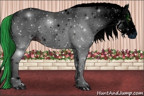 Horse Color:ERROR: UNKNOWN ANOMALY