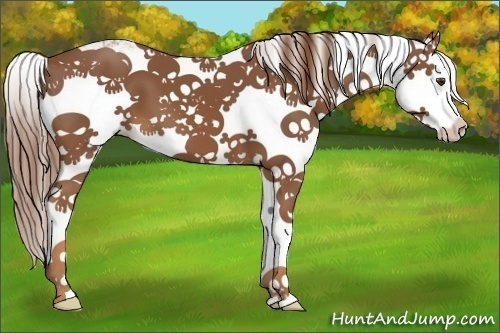 Horse Color:Chestnut Sabino Splash 