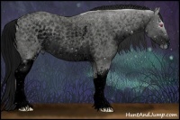 Horse Color:ERROR: UNKNOWN ANOMALY