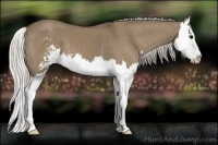 Horse Color:Silver Grullo Sabino Splash