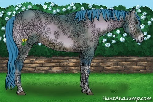 Horse Color:Watercolor Bay Ice Onyx 