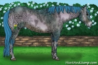 Horse Color:Watercolor Bay Ice Onyx
