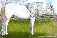 Horse Color:White Spotted Liver Chestnut Pearl Blanket