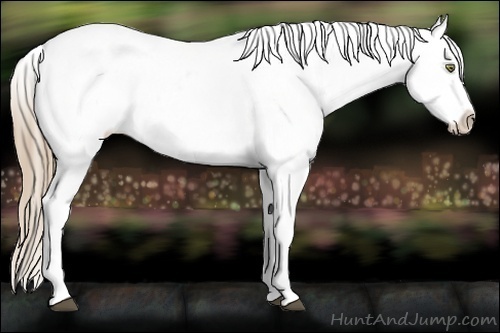 Horse Color:White Spotted Liver Chestnut Pearl Varnish 