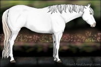 Horse Color:White Spotted Liver Chestnut Pearl Varnish