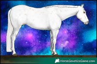 Horse Color:Silver Black Pearl Sabino 