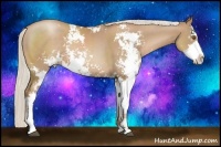 Horse Color:Silver Black Pearl Sabino 
