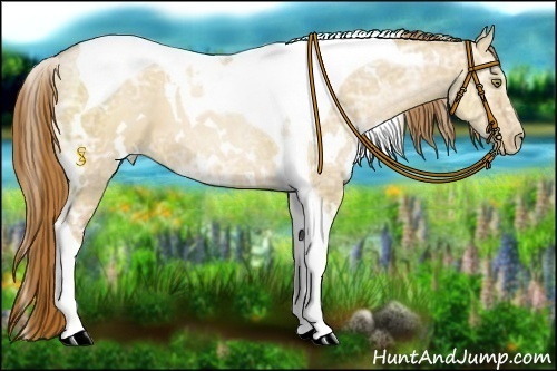 Horse Color:White Spotted Red Dun Ice Pearl Tobiano 