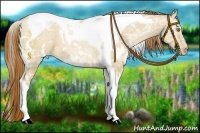 Horse Color:White Spotted Red Dun Ice Pearl Tobiano