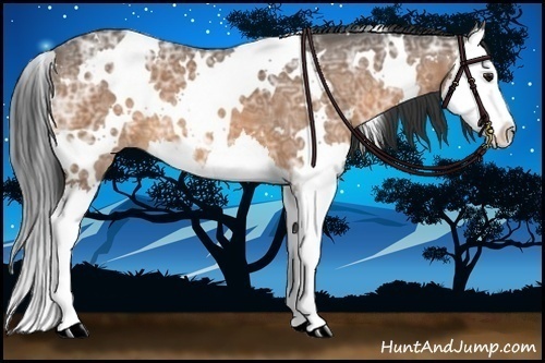 Horse Color:White Spotted Buckskin Ice Splash 