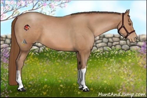 Horse Color:Brown Pearl 