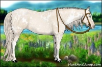 Horse Color:White Spotted Palomino Ice Pearl Sabino