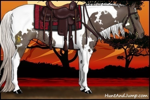 Horse Color:White Spotted Silver Black Tobiano Rabicano