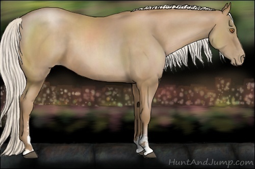 Horse Color:Silver Black Pearl Sabino