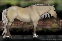 Horse Color:Silver Grullo Sabino Rabicano 