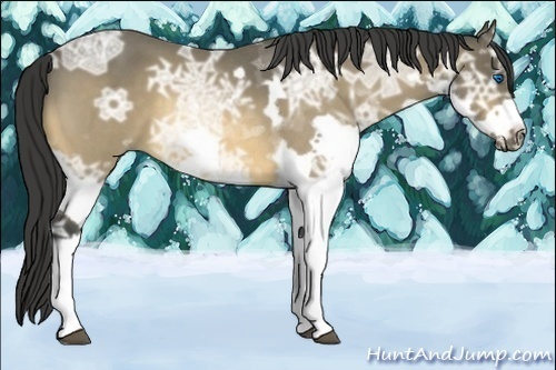 Horse Color:Buckskin Ice Roan Splash Frame 