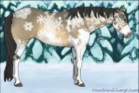 Horse Color:Buckskin Ice Roan Splash Frame