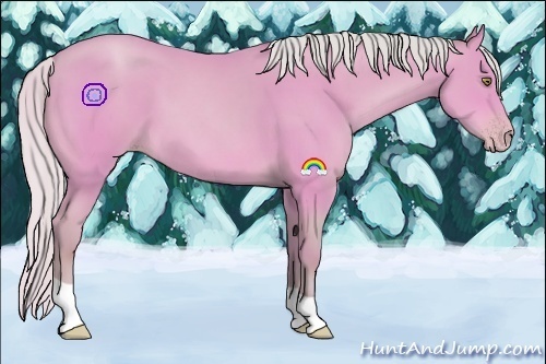 Horse Color:Watercolor Silver Amber Champagne