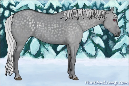 Horse Color:Silver Grullo Chinchilla 