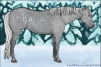 Horse Color:Silver Grullo Chinchilla 