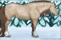 Horse Color:Grullo Ice Pearl 