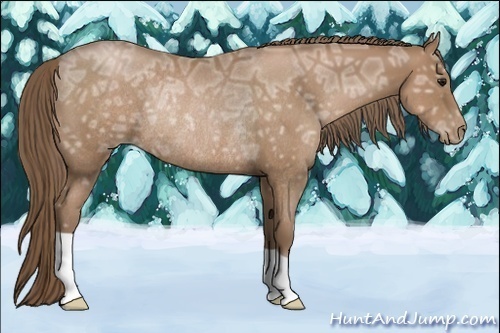 Horse Color:Black Ice Pearl Rabicano 