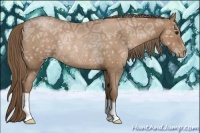 Horse Color:Black Ice Pearl Rabicano 