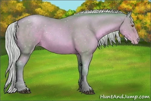 Horse Color:Watercolor Silver Black Pearl Rabicano 