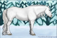 Horse Color:Silver Grullo Sabino Appaloosa 