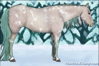 Horse Color:Watercolor White Spotted Grullo Pearl 