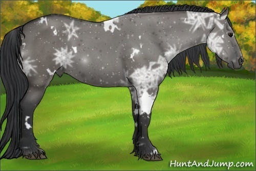 Horse Color:White Spotted Grullo Ice Roan 