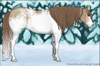 Horse Color:White Spotted Black Pearl