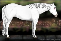 Horse Color:Silver Brown Chinchilla Leopard 