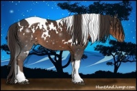 Horse Color:White Spotted Liver Chestnut Tobiano 