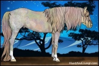 Horse Color:Nacre Chocolate Palomino Ice Roan 