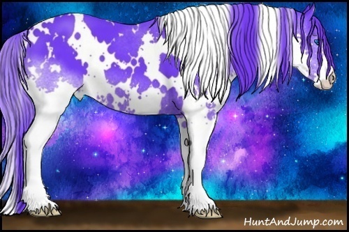 Horse Color:Watercolor White Spotted Black Splash 
