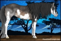 Horse Color:Brown Splash