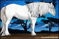 Horse Color:Liver Chestnut Pearl Sabino Tobiano Varnish 