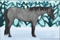 Horse Color:Smoky Blue Roan 
