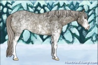 Horse Color:White Spotted Chocolate Palomino