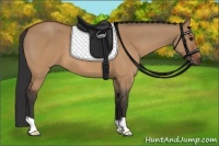 Horse Color:Brown Dun 
