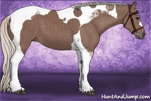 Horse Color:Chocolate Silver Black Tobiano 